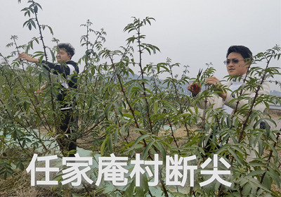 春意萌動，基地無閑時